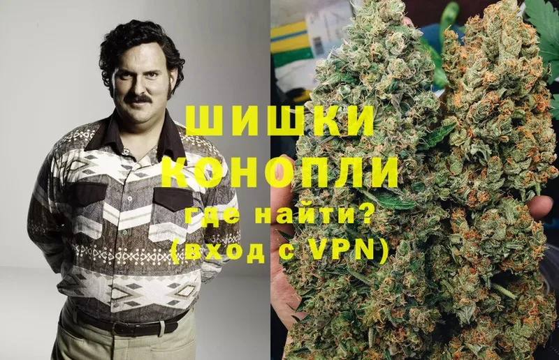 Где продают наркотики Новомосковск Cocaine  МЕФ  A-PVP  Канабис 